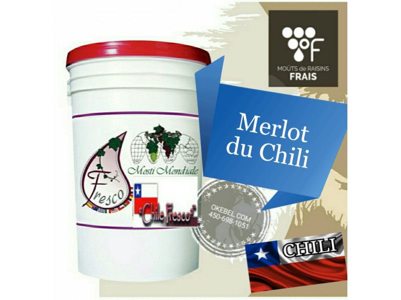 MERLOT du CHILI - Fresco Chili 2024